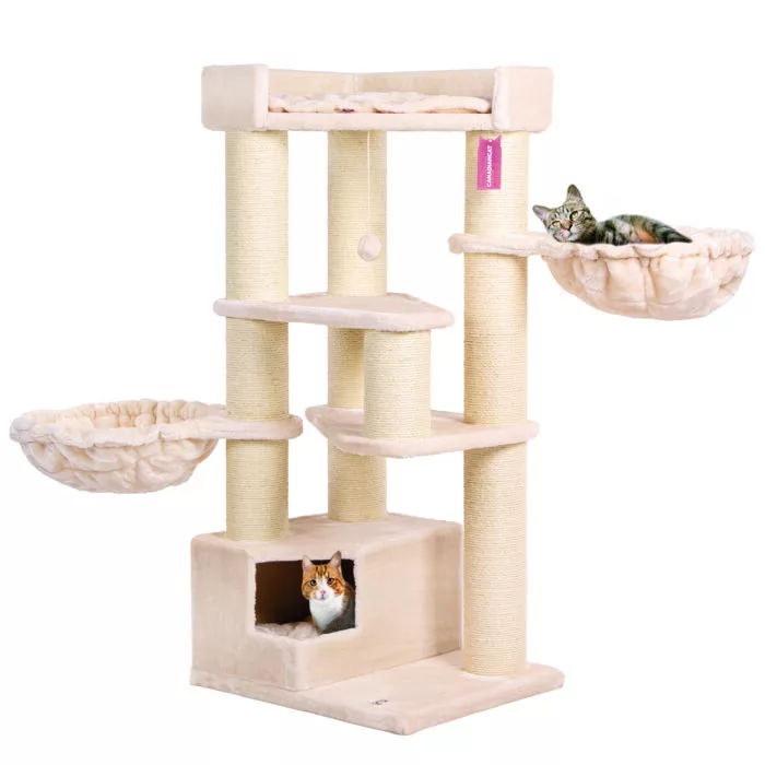 Canadian Corner Coon Activity Centre (Cream)